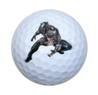 New Novelty Superhero Panther Golf Balls