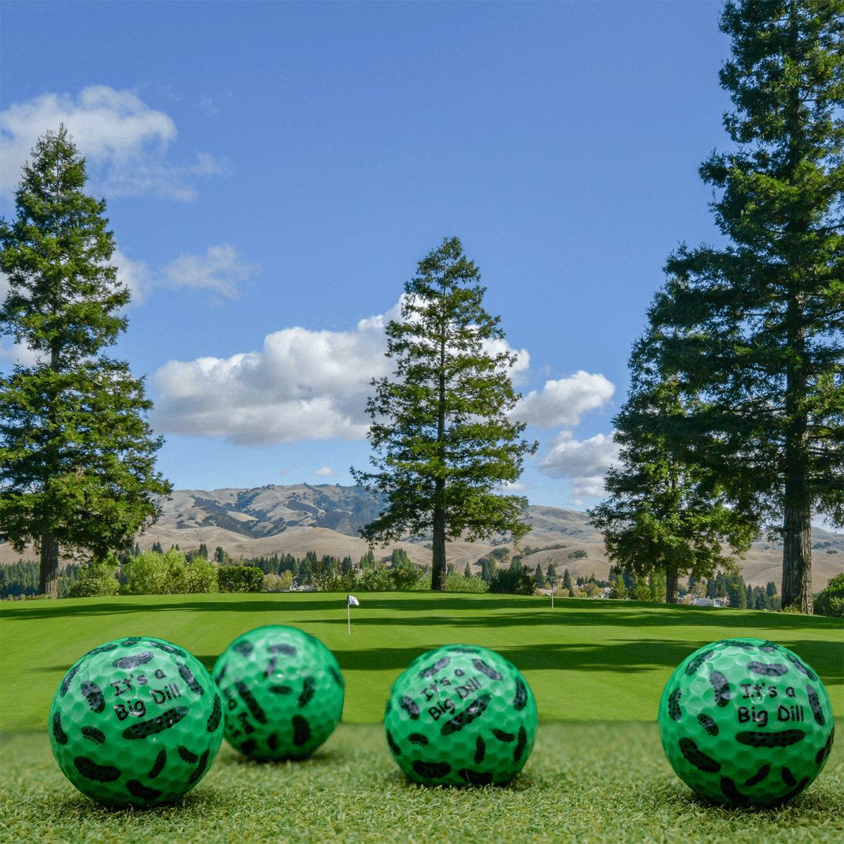 New Novelty It's a Big Dill Golf Balls - ReNew Golf Balls