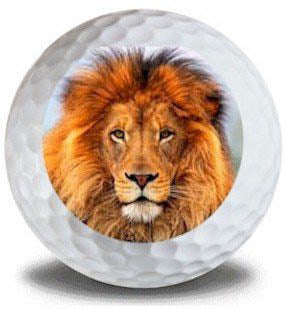 New Novelty Lion Golf Balls