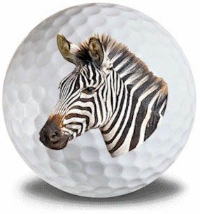 New Novelty Zebra Golf Balls